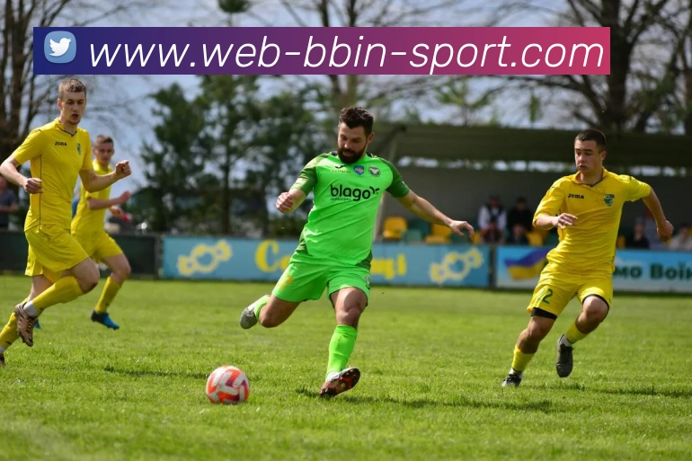 BBIN体育平台生态图