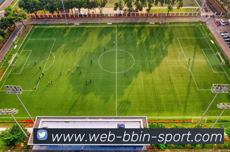 BBIN体育APP 封面图